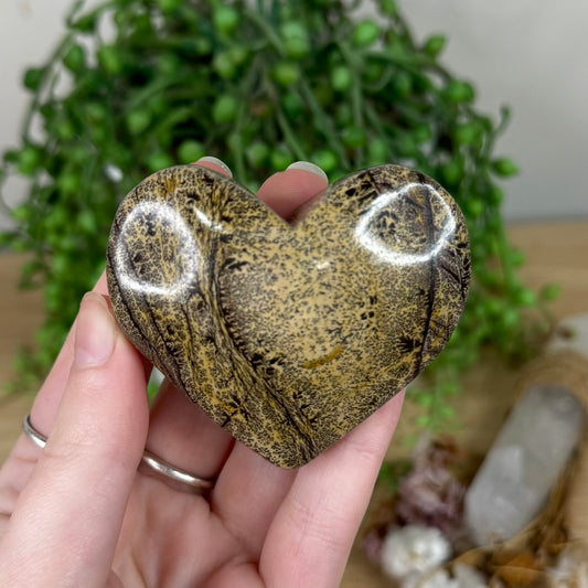 Picture Stone Jasper Heart (S432)