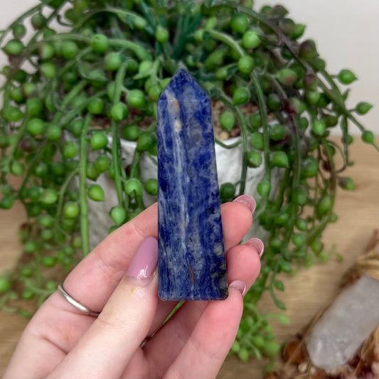 Sodalite Point (Y577)