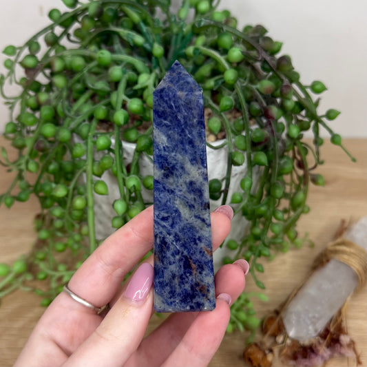 Sodalite Point (Y582)