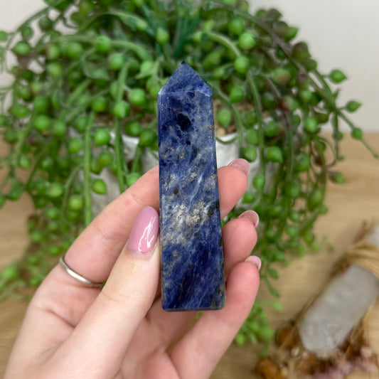 Sodalite Point (Y579)