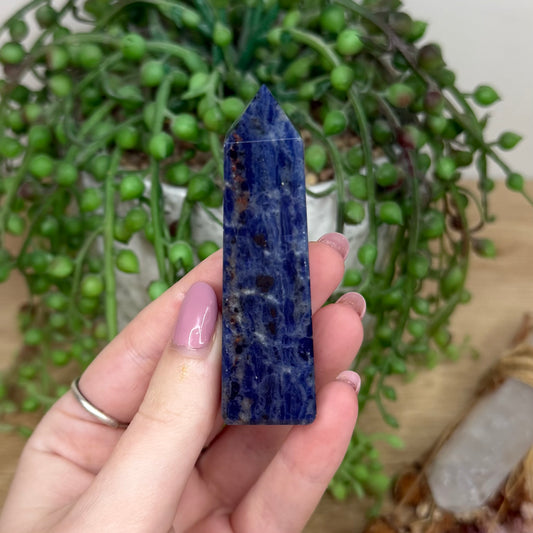 Sodalite Point (Y576)