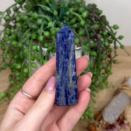 Sodalite Point (Y578)