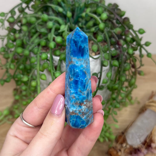 Blue Apatite Point (Y592)