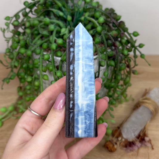Owyhee Blue Opal Point (Y572)