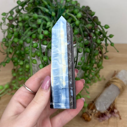 Owyhee Blue Opal Point (Y572)
