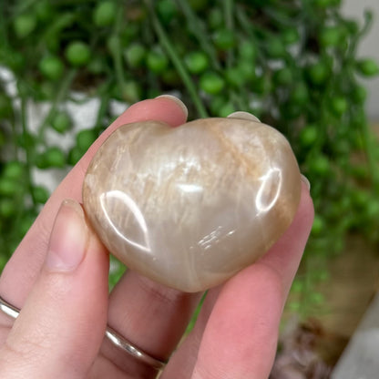 Peach Moonstone / Sunstone Heart (S369)