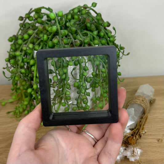 Large Black Case