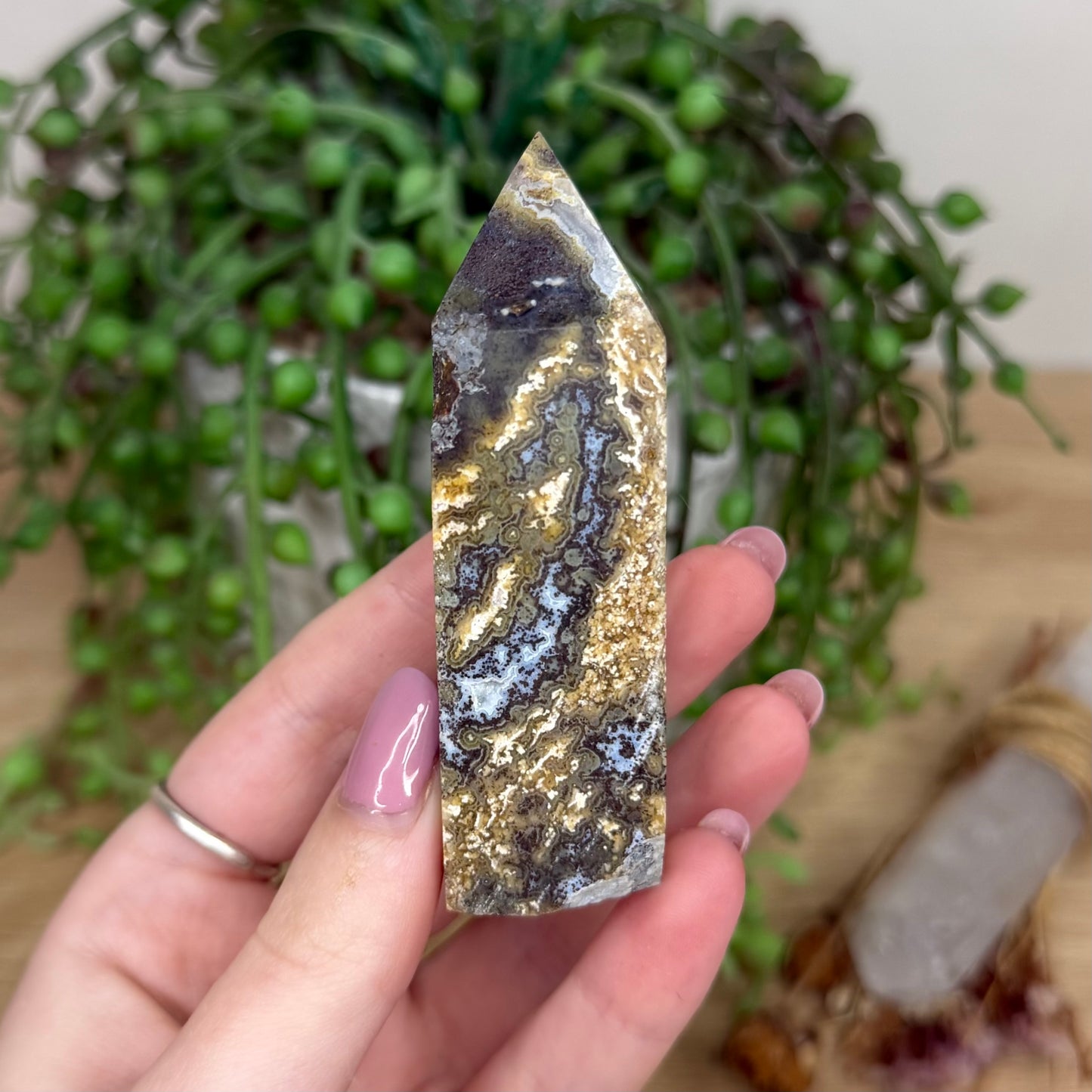 Golden Ocean Jasper Point (Y323)