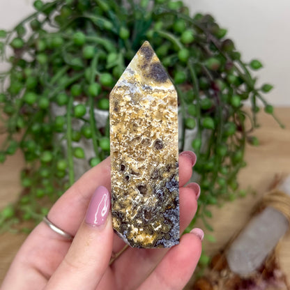 Golden Ocean Jasper Point (Y323)