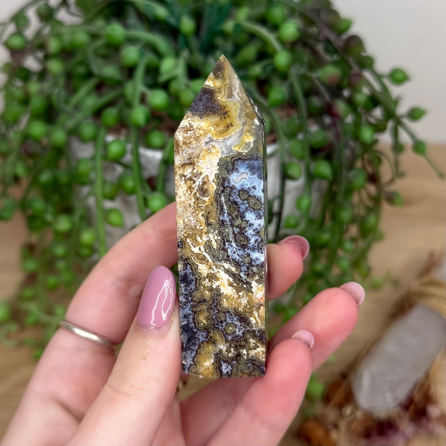 Golden Ocean Jasper Point (Y323)