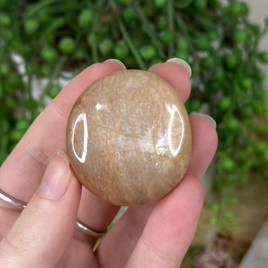 Peach Moonstone / Sunstone Mini Palm Stone (S350)