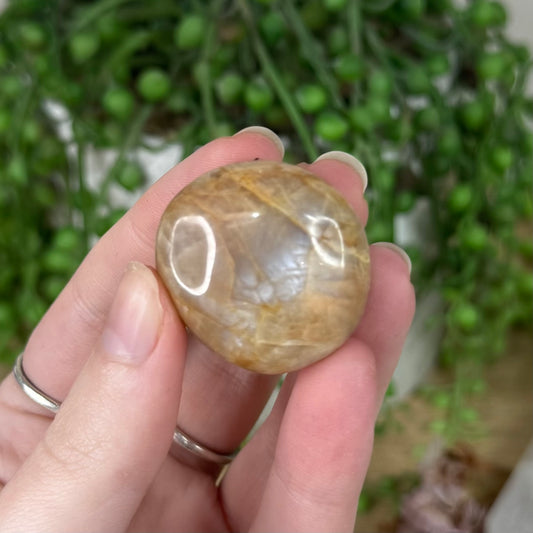 Peach Moonstone / Sunstone Mini Palm Stone (S349)
