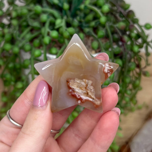 Flower Agate Star (Y464)