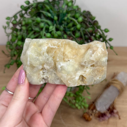Caribbean Calcite Slab (Y792)