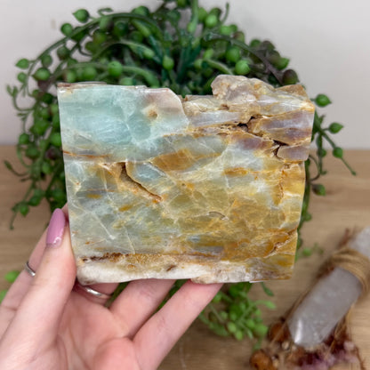 Caribbean Calcite Slab (Y793)