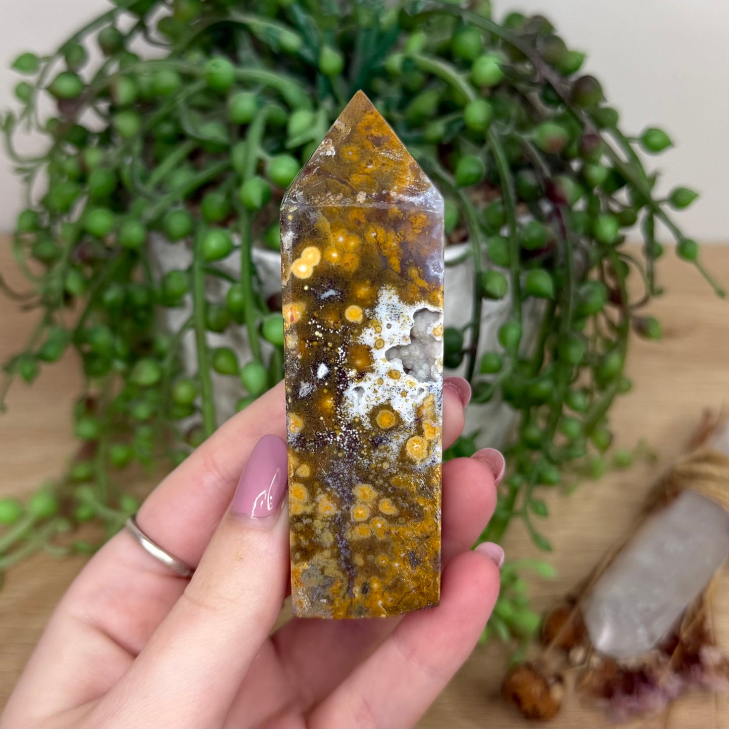Golden Ocean Jasper Point (Y327)