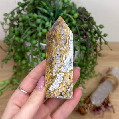 Golden Ocean Jasper Point (Y328)