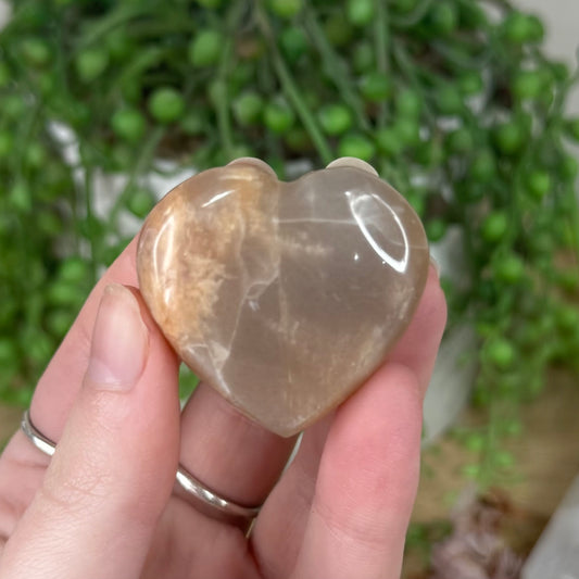 Peach Moonstone / Sunstone Heart (S366)