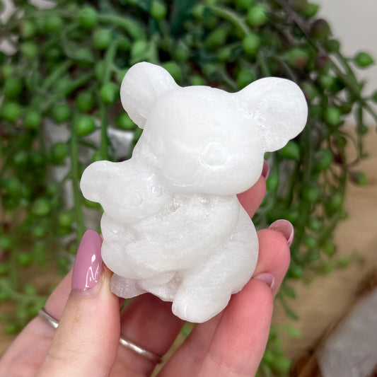 White Jade Koala Family (Y427)