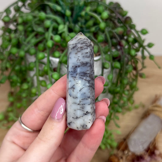Dendritic Agate Point (Y600)