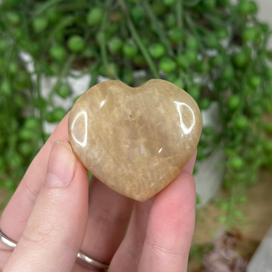 Peach Moonstone / Sunstone Heart (S367)