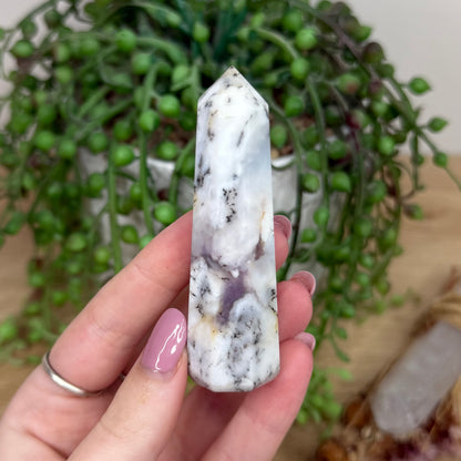 Dendritic Agate Point (Y605)