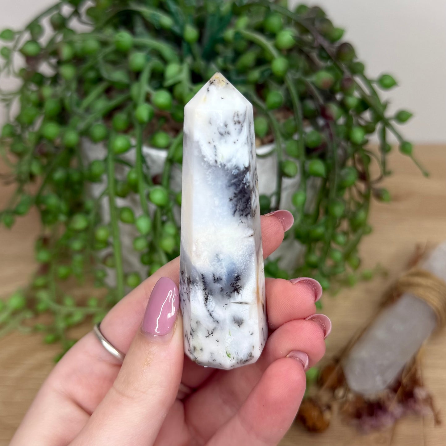 Dendritic Agate Point (Y605)