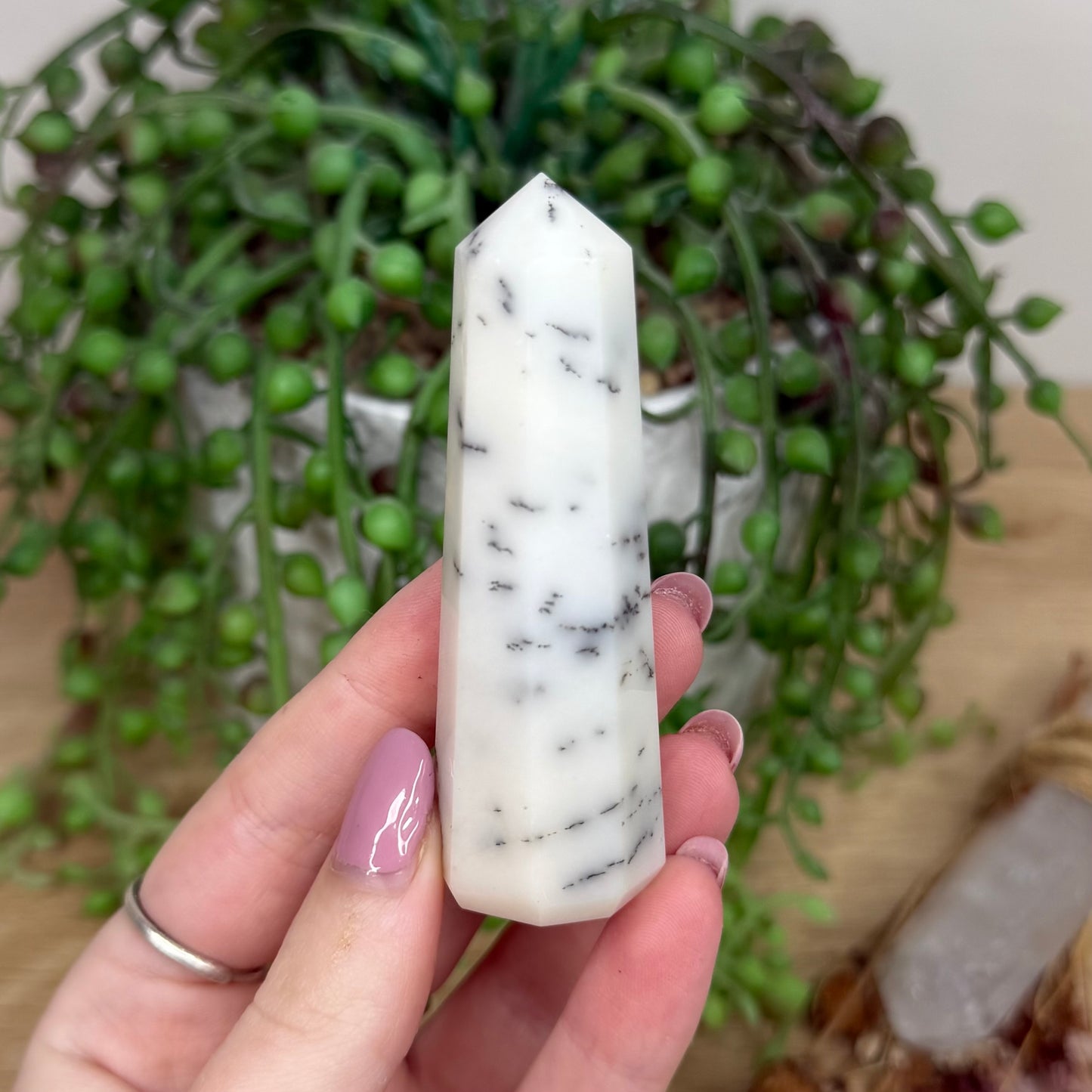 Dendritic Agate Point (Y605)