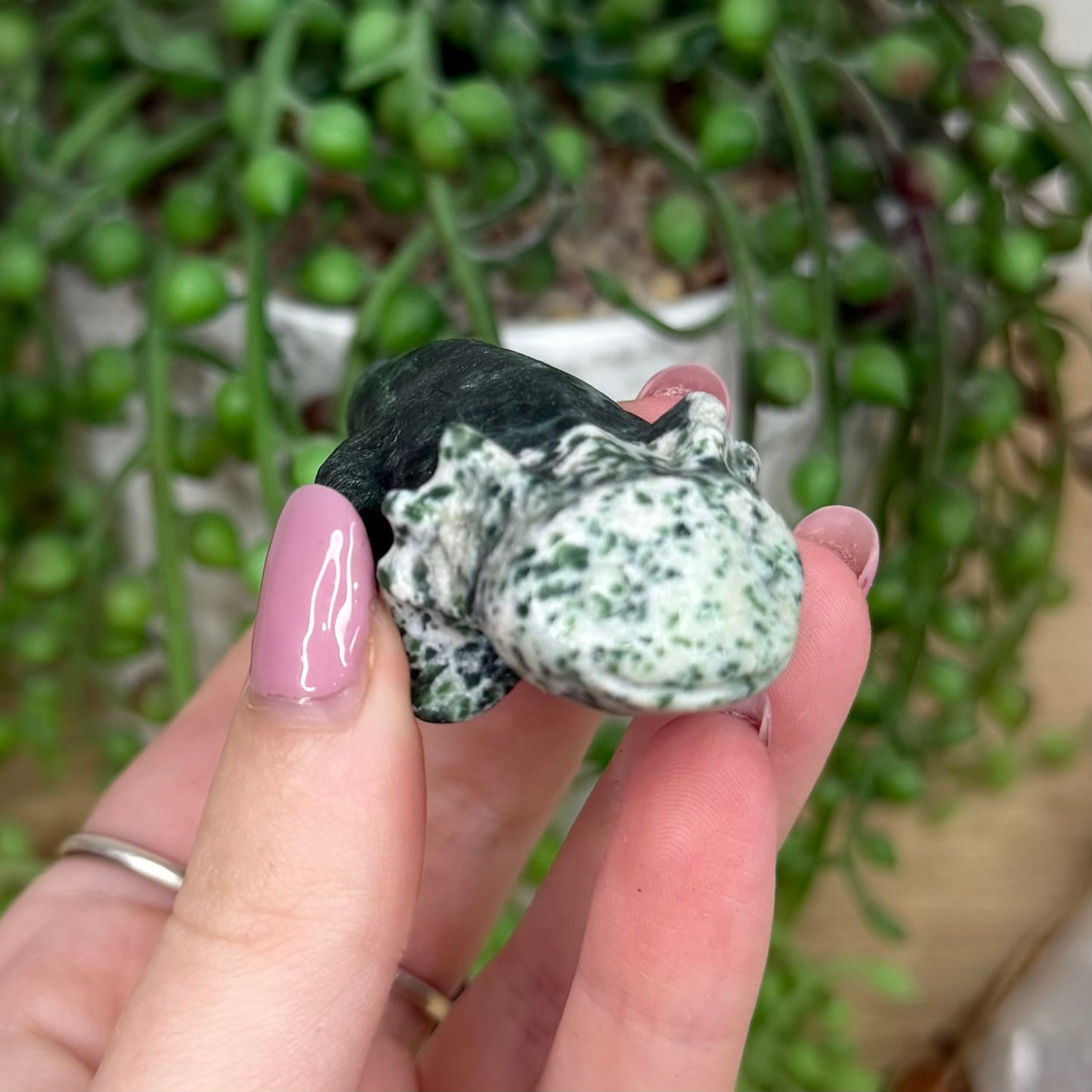 Green Spot Jasper Axolotl (Y504)