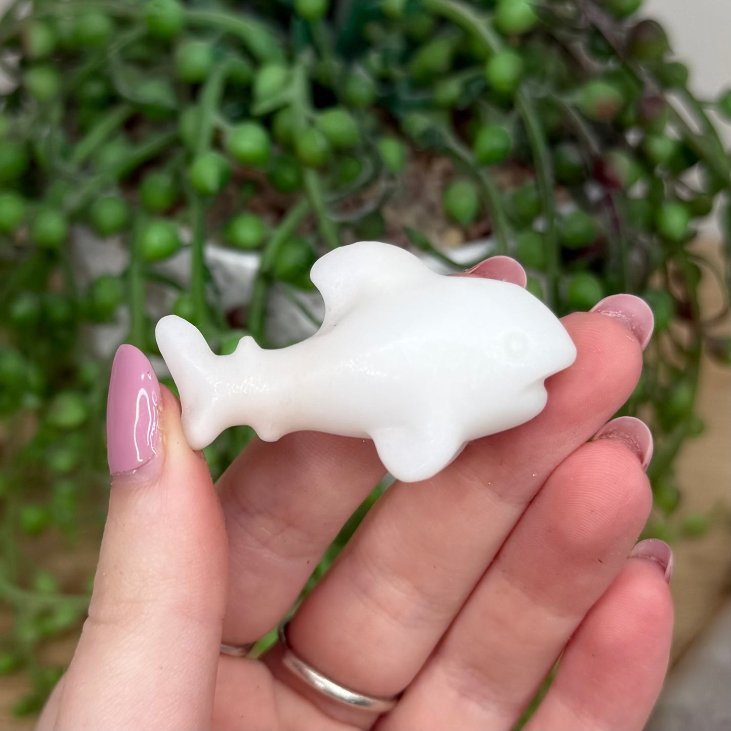 White Jade Shark (Y545)