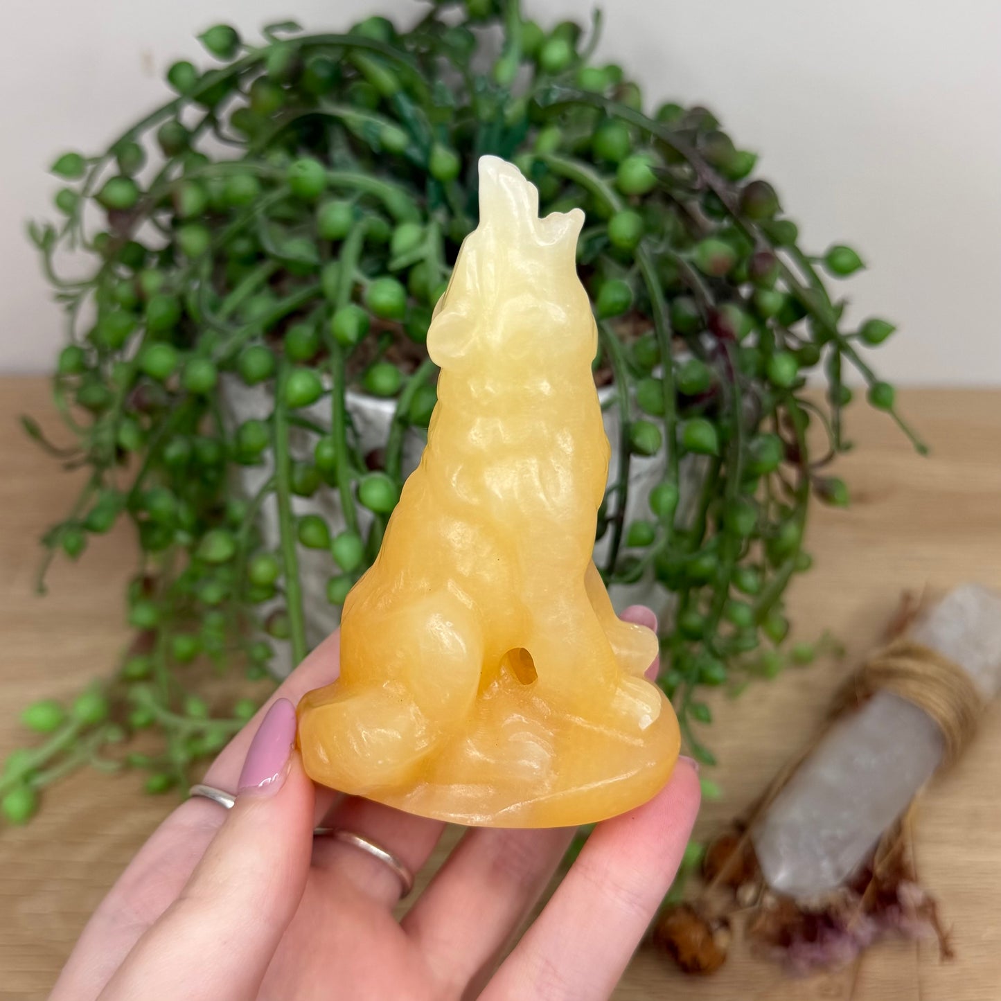 Yellow Calcite Wolf (Y502)