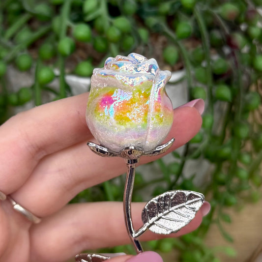 Aura Pink Opal Rose (Y331)