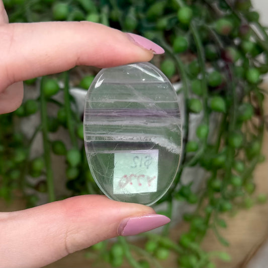 Fluorite Palm Stone (Y770)