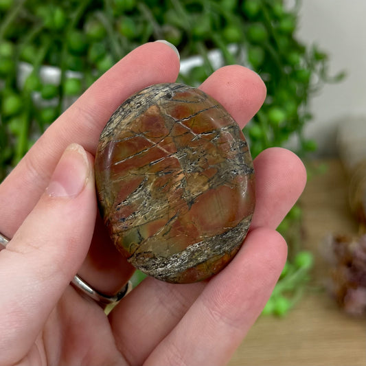 Polychrome Jasper Lucky Stone 1