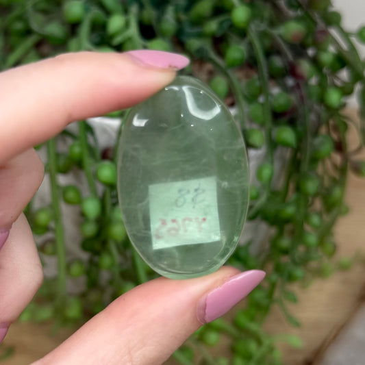 Fluorite Palm Stone (Y765)