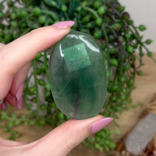 Fluorite Palm Stone (Y786)