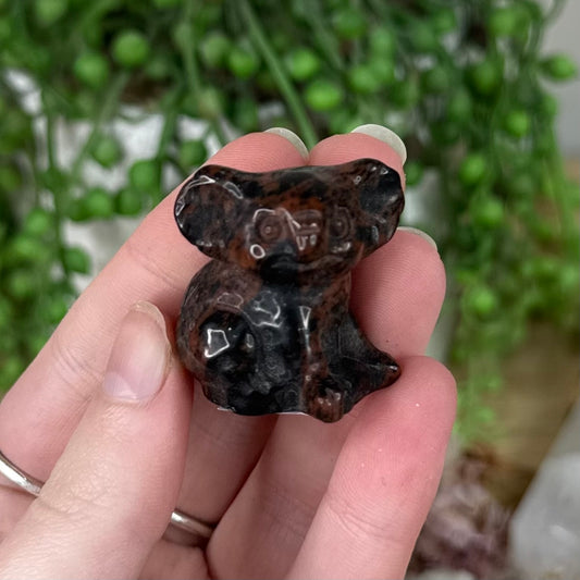 Mahogany Obsidian Koala (S480)