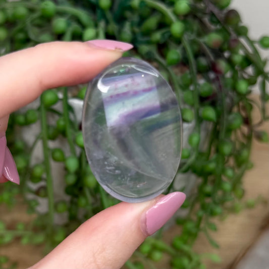 Fluorite Palm Stone (Y767)
