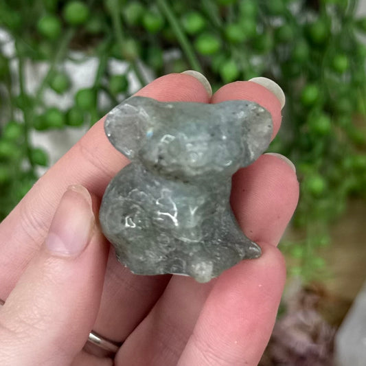 Labradorite Koala (S487)