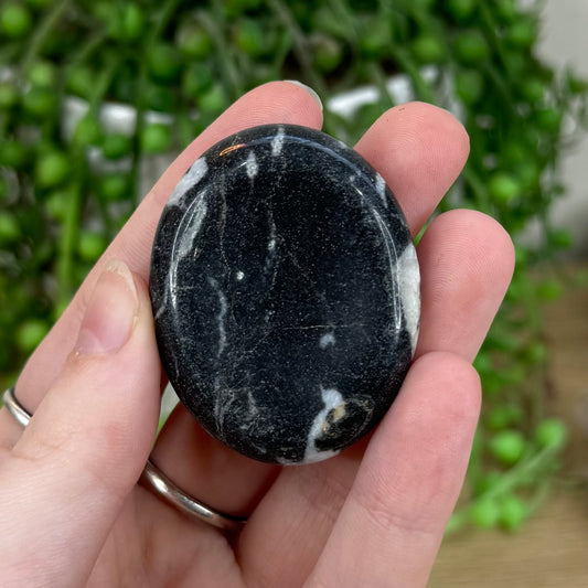 Black Shell Jasper Lucky Stone