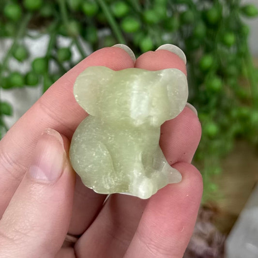 Afghan Jade Koala (S491)