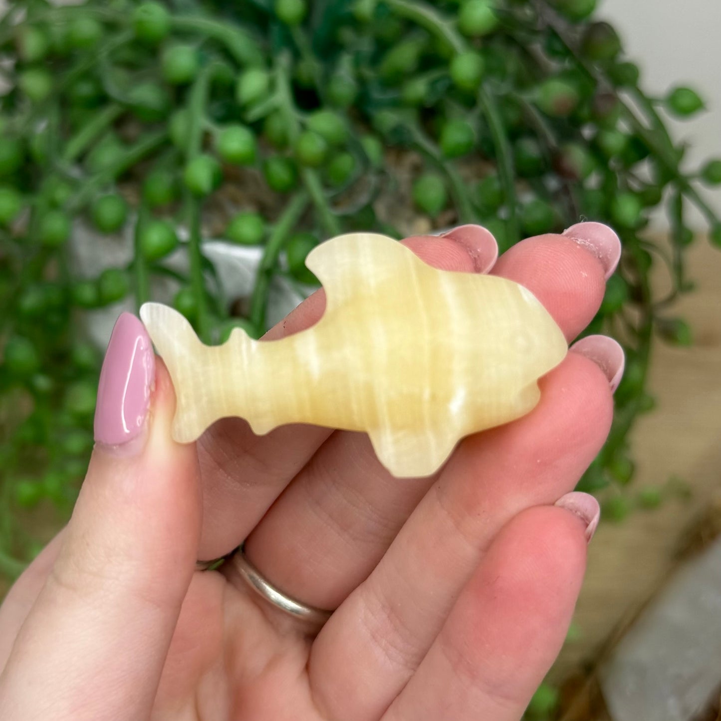 Yellow Calcite Shark (Y549)