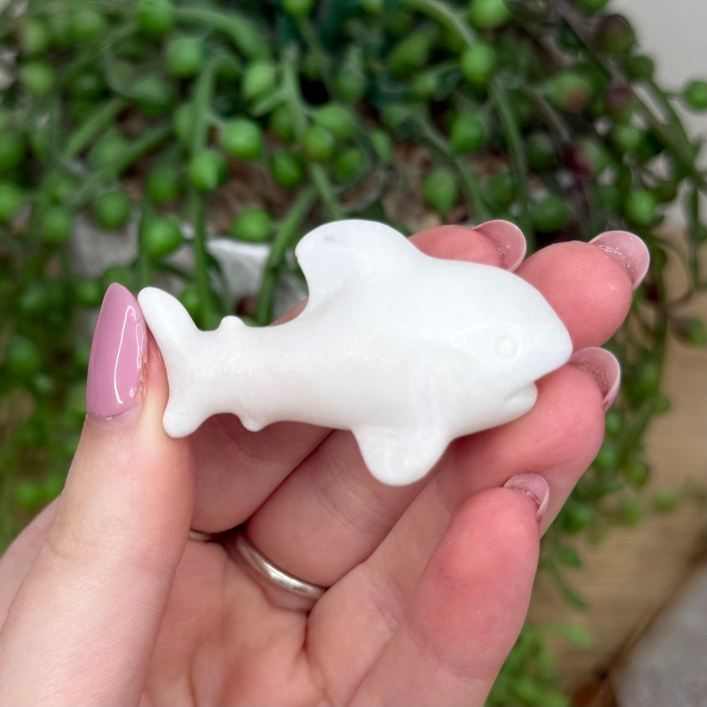 White Jade Shark (Y546)