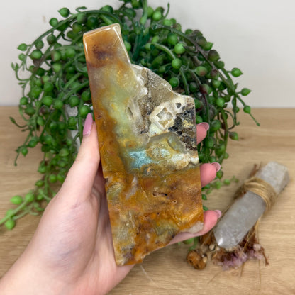 Caribbean Calcite Slab (Y794)