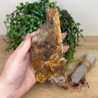 Caribbean Calcite Slab (Y794)
