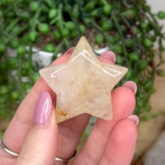 Agate Star (Y460)