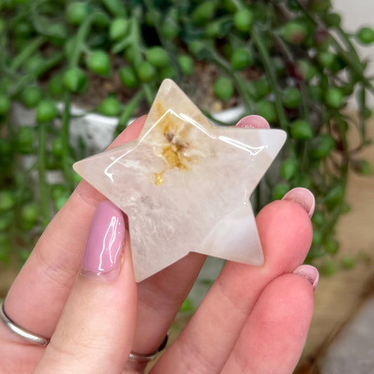 Agate Star (Y462)