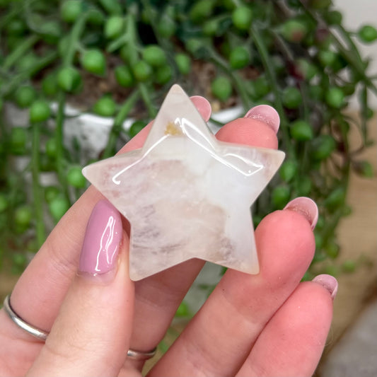 Agate Star (Y461)