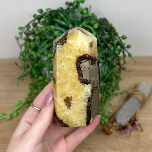 Septarian Tower (Y272)