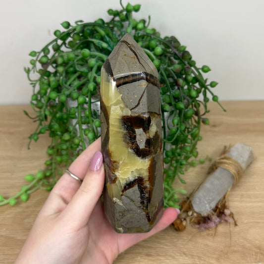 Septarian Tower (Y273)
